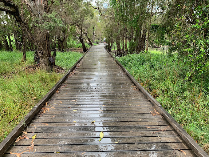 Wetland boardwalk and wildlife habitat at Eagleby Wetlands